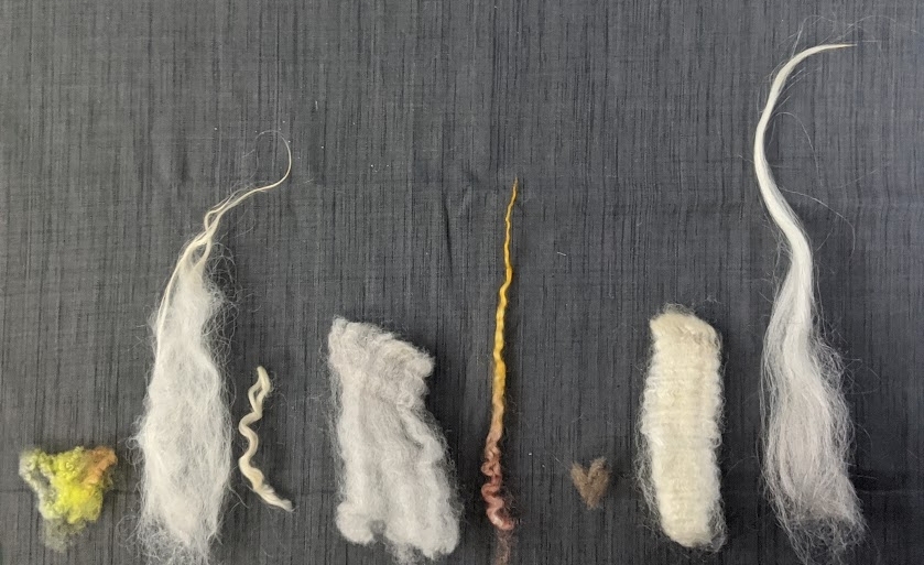 Staple Length of Different Wools